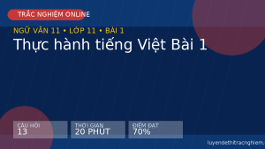 Trắc nghiệm Ngữ văn 11: Thực hành tiếng Việt Bài 1