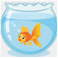 Hình minh họa câu 3 - Trắc nghiệm Tiếng Anh 3: Unit 16 - My pets