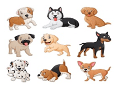 Hình minh họa câu 7 - Trắc nghiệm Tiếng Anh 3: Unit 16 - My pets