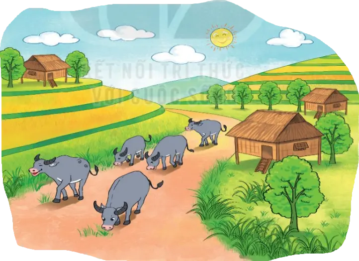 Hình minh họa câu 2 - Trắc nghiệm Toán 1 Bài 6: Luyện tập chung